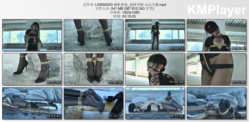 丽柜美束0020_劫持空姐 心心主演.jpg