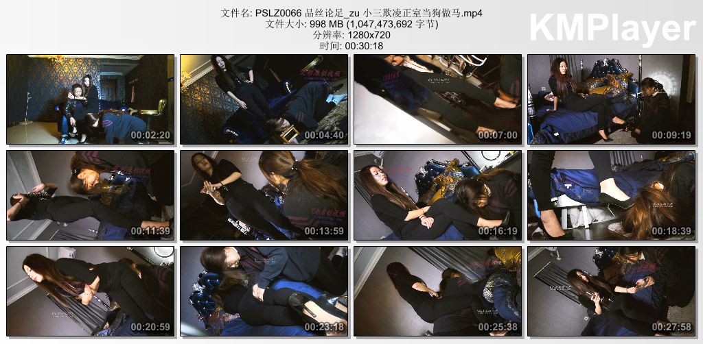 品丝论足0066_小三欺凌正室当狗做马.jpg