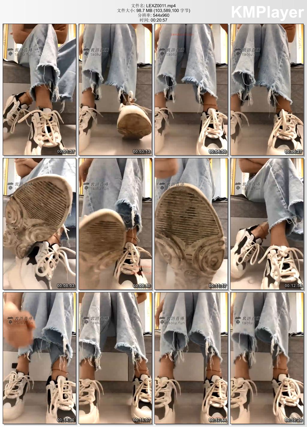 兰儿小主0011_网调之人形犬培养.jpg