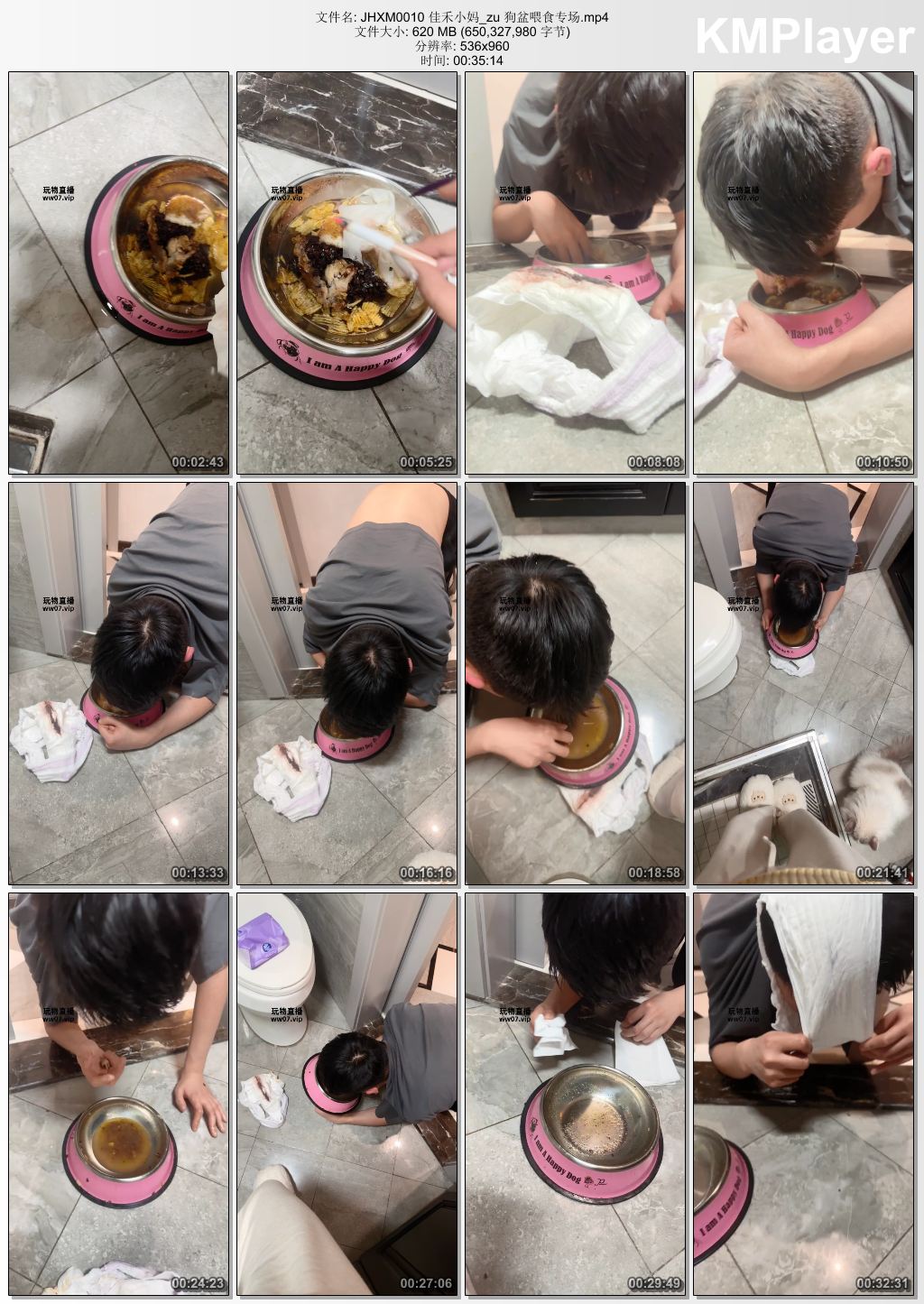 佳禾小妈0010_狗盆喂食专场.jpg