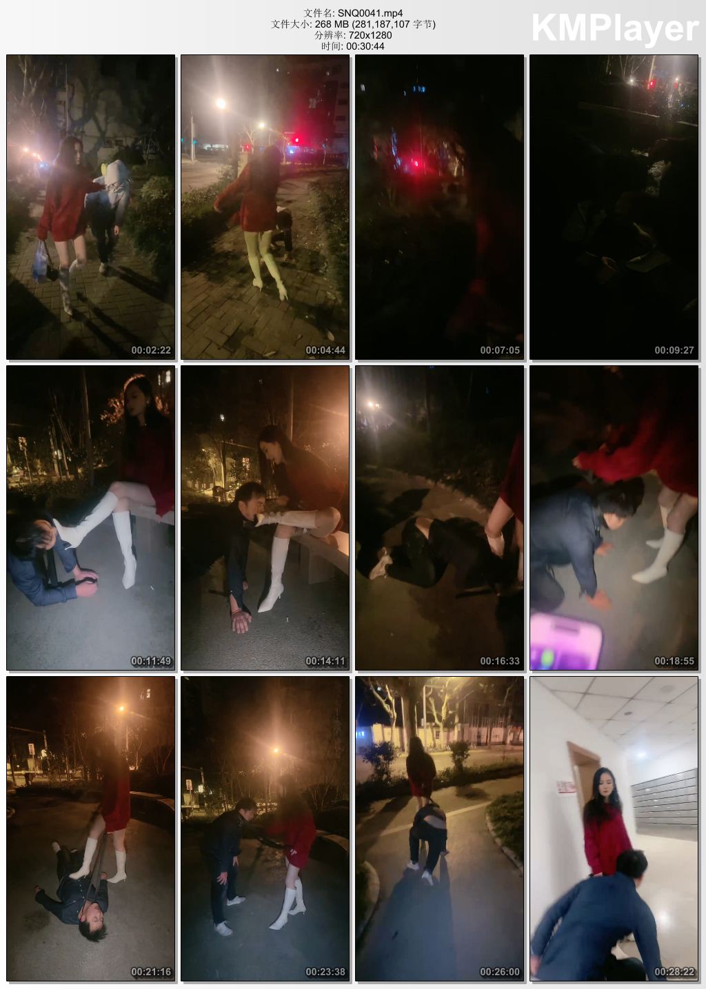 司宁青0041_深夜暴虐尾随狗 上集.jpg