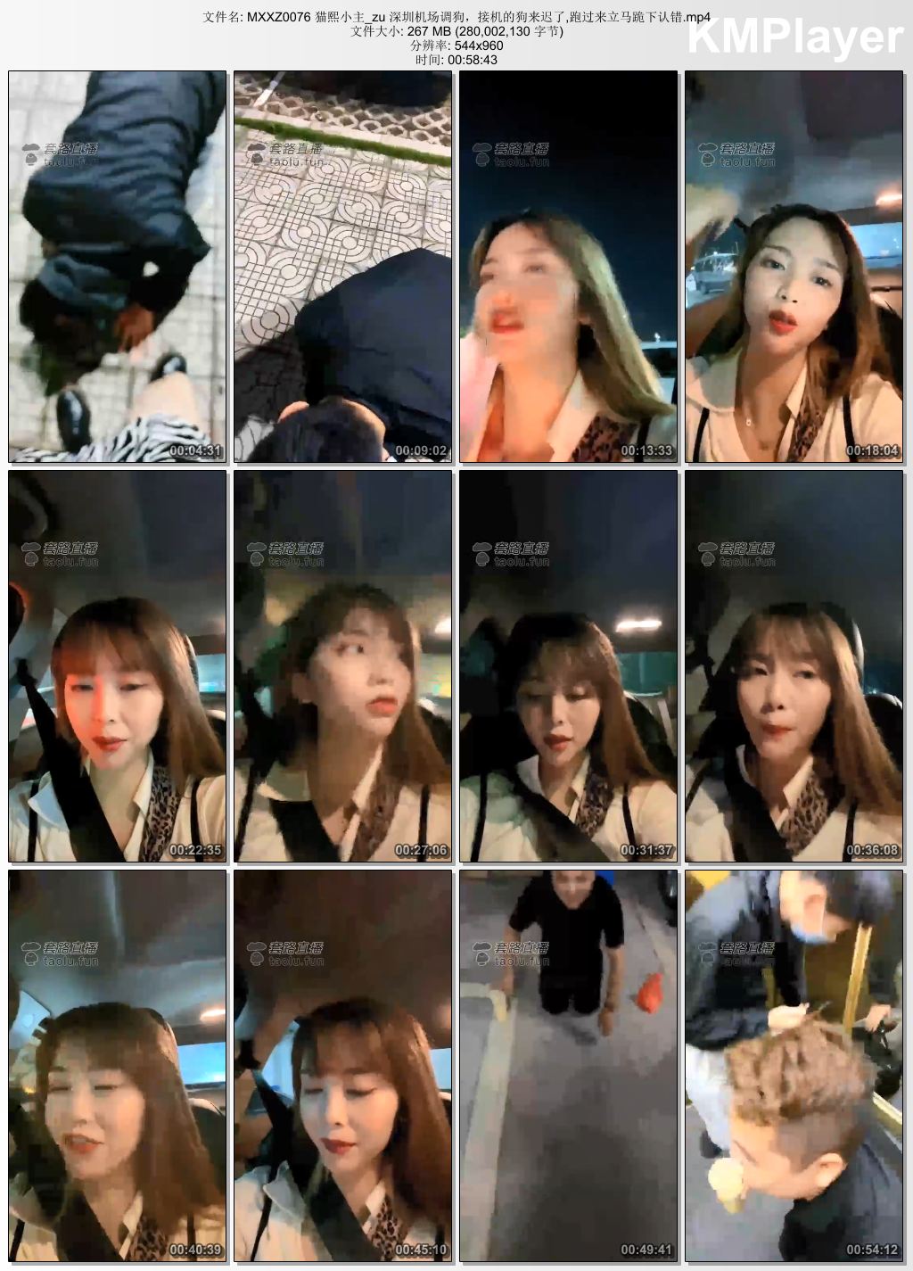 猫熙小主0076_深圳机场调狗 接机的狗来迟了 跑过来立马跪下认错.jpg