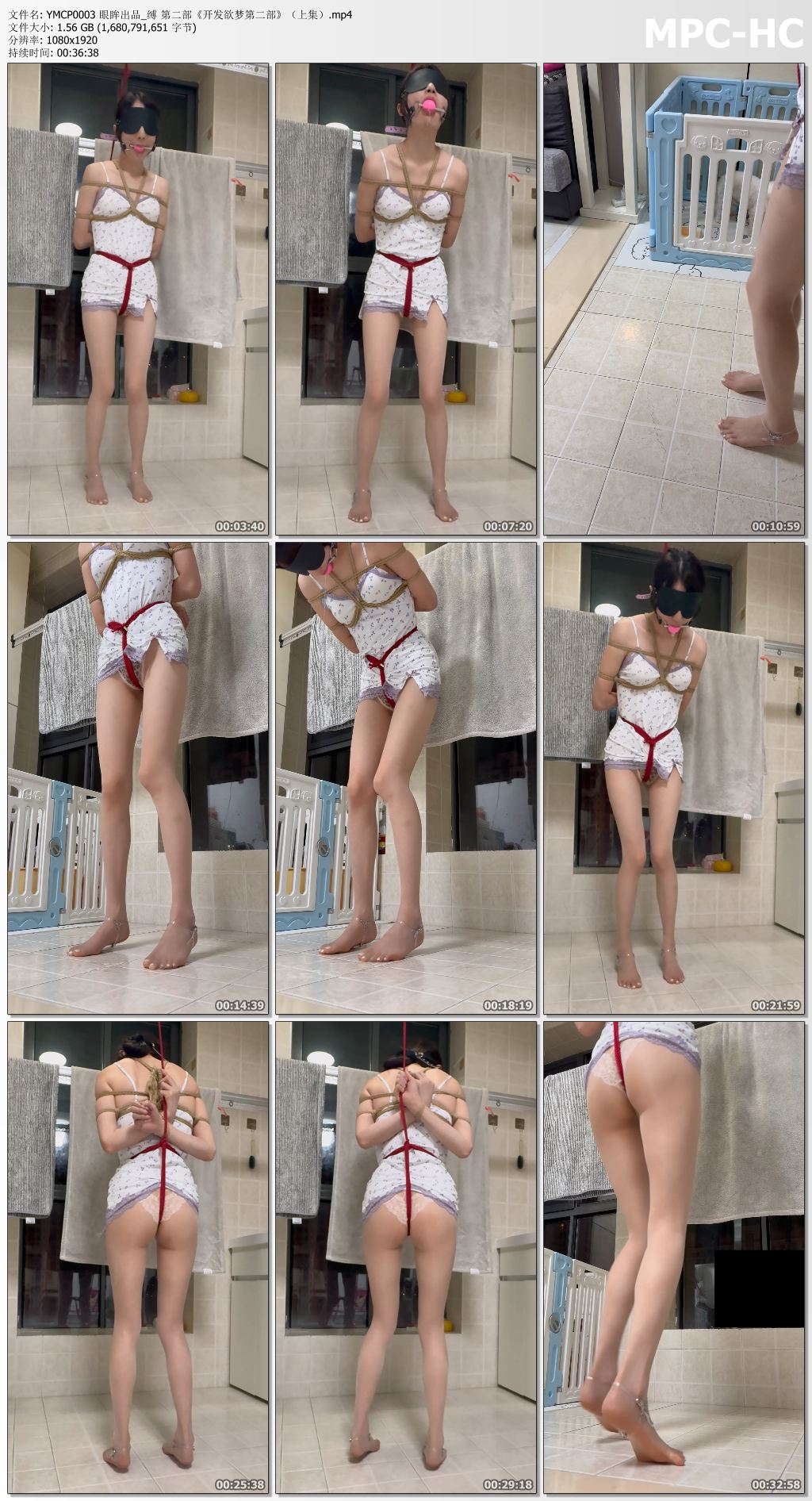 YMCP0003 眼眸出品_开发欲梦 第二部 上集.jpg