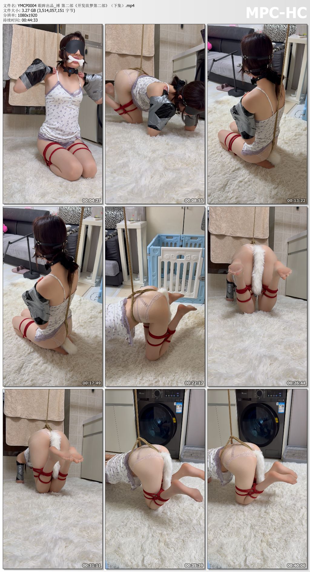 YMCP0004 眼眸出品_开发欲梦 第二部 下集.jpg