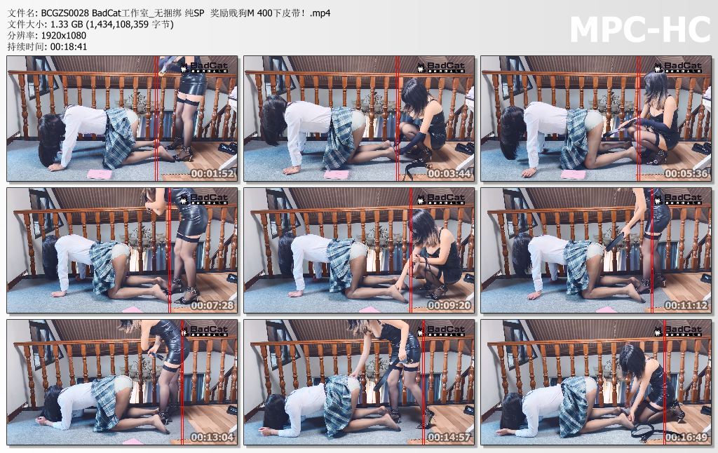 BCGZS0028 BadCat工作室_纯SP奖励贱狗M皮带400下.jpg