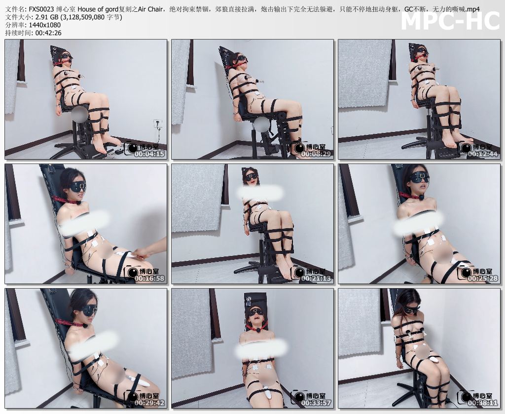 缚心室_House of gord复刻之Air Chair绝对拘束禁锢 郊狼拉满 P机输出下完全无法躲避高C不断.jpg