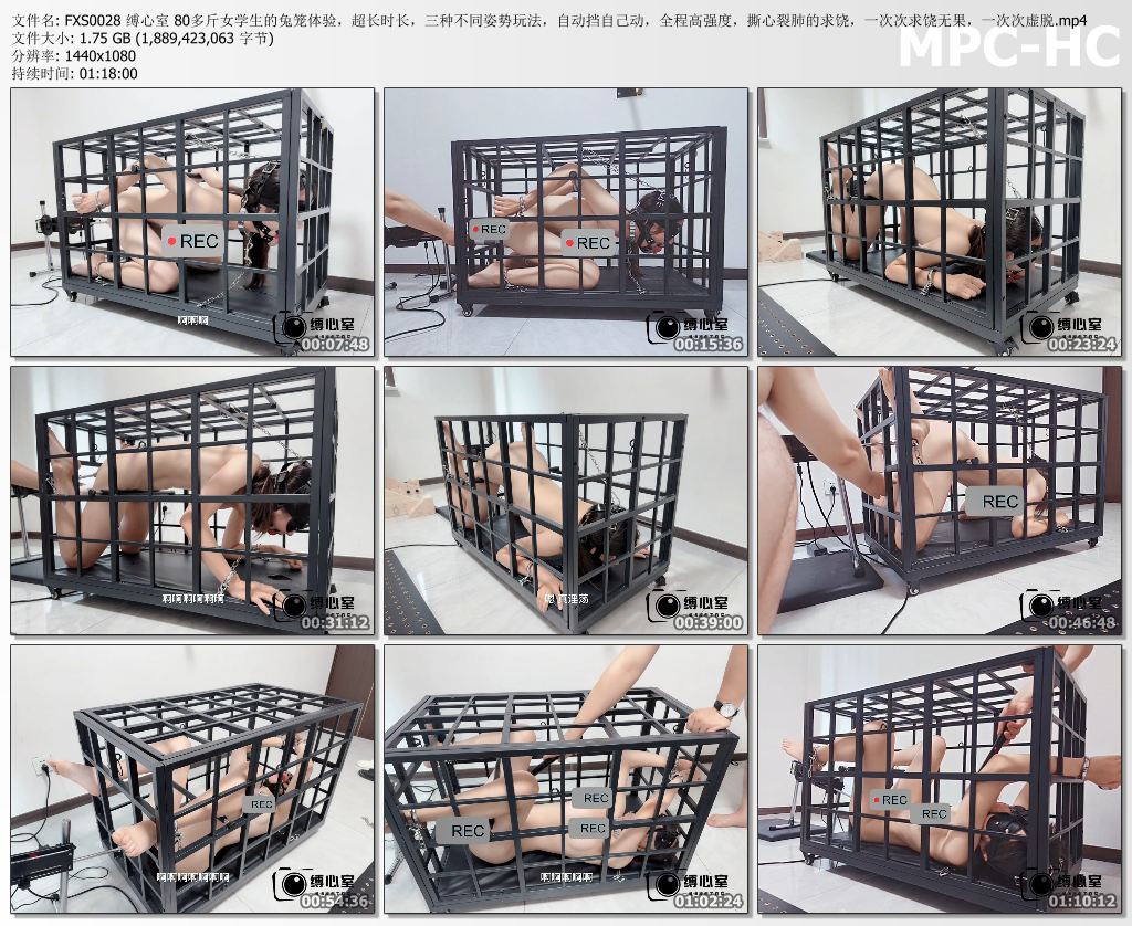 缚心室_80多斤女学生的兔笼体验 三种不同姿势玩法 自动挡全程高强度 撕心裂肺的求饶.jpg