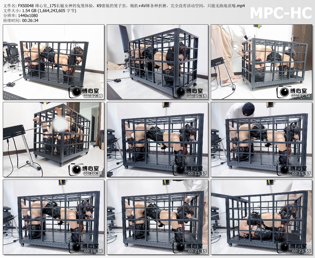 缚心室_175长腿女神的兔笼体验 K9套装扔笼子里P机AV棒双重折磨 无助哀嚎.jpg