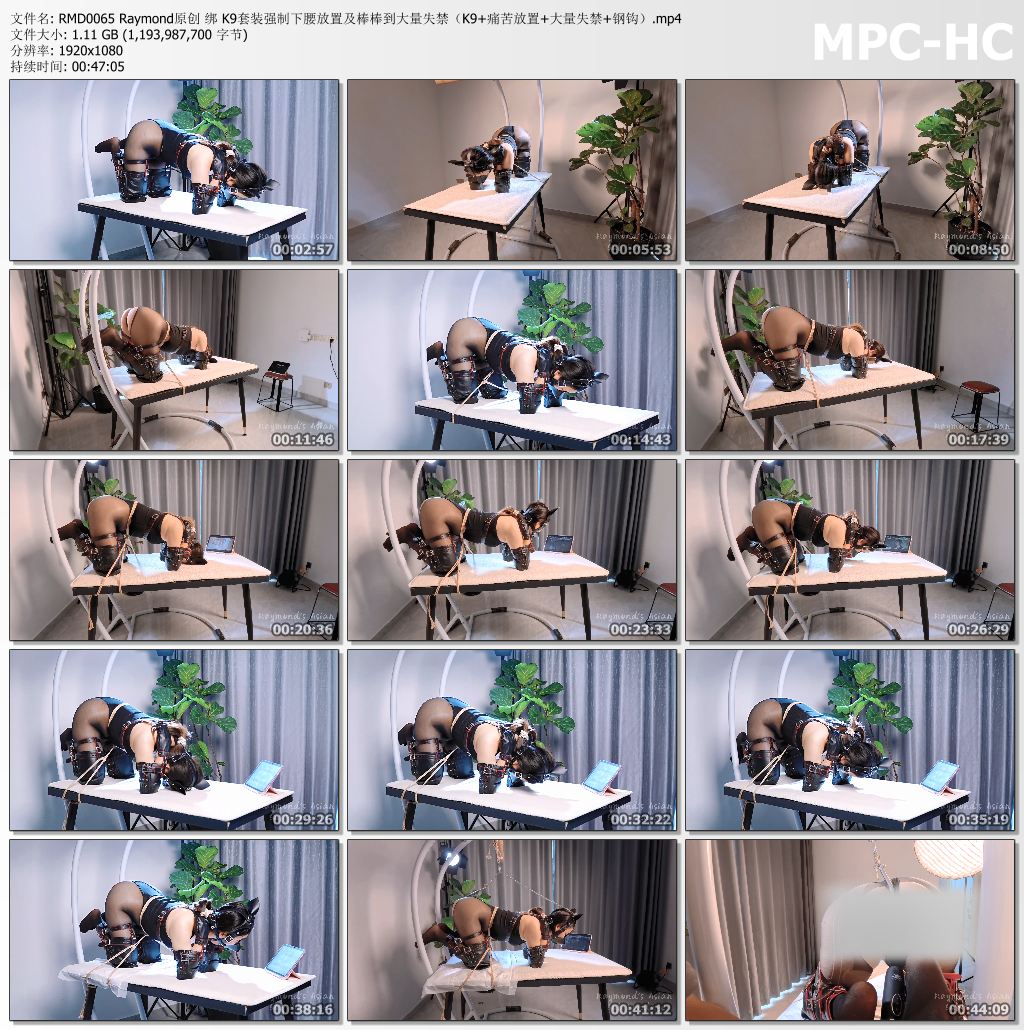 Raymond原创_K9套装强制下腰放置及棒棒到大量失禁.jpg