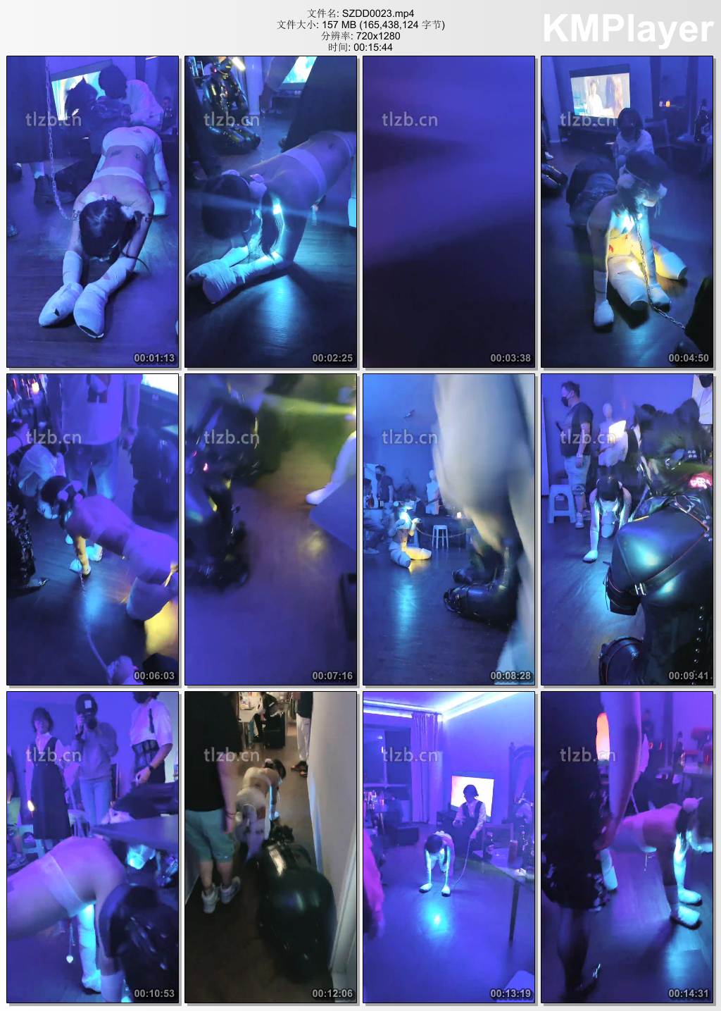 松紫大大0023_SM聚会之犬化狗奴 上集.jpg