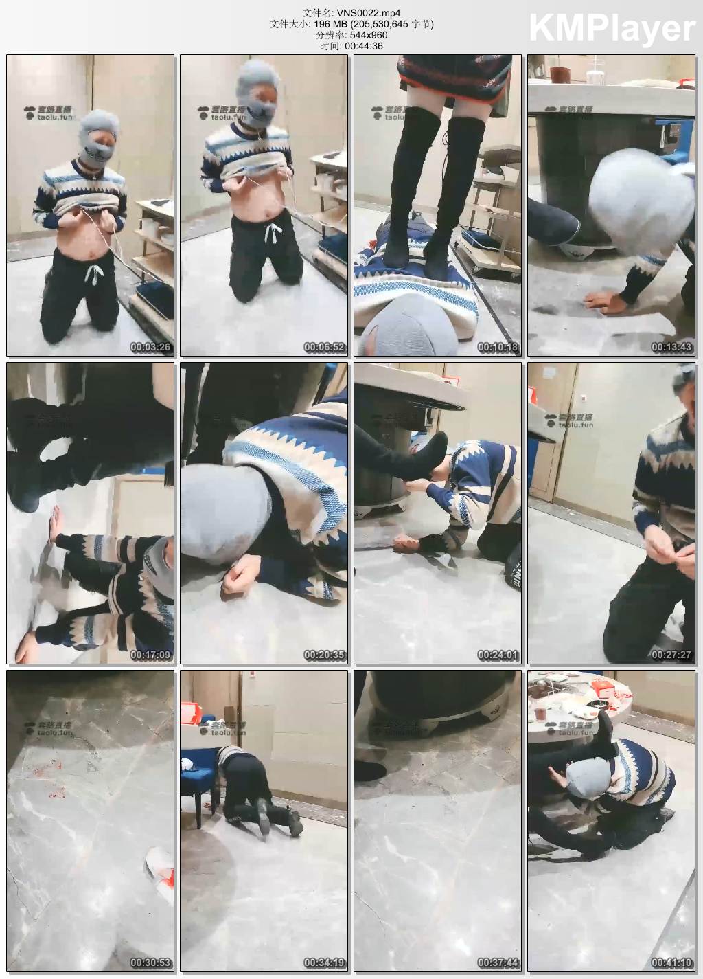 Vinnie维妮0022_双主海底捞公调 超卖力舔鞋底 电击.jpg