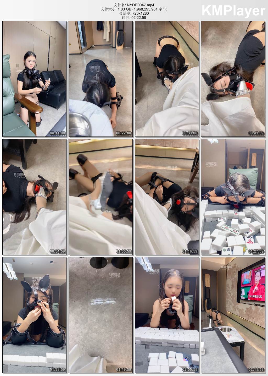 南烟大大0047_母畜麻将馆K9犬化.jpg