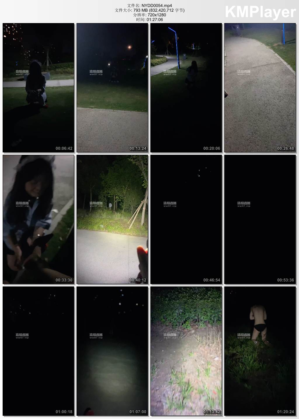 南烟大大0054_深夜户外遛母狗.jpg