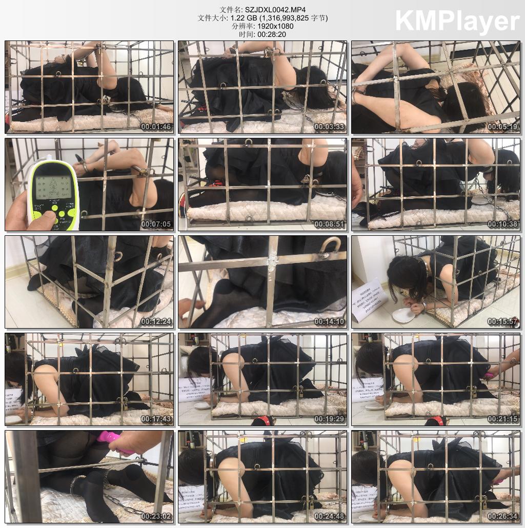 手指间的旋律_旋律受虐记 第十二部 圈养富家女 下集 黑丝钢枷镣铐多功能笼子.jpg