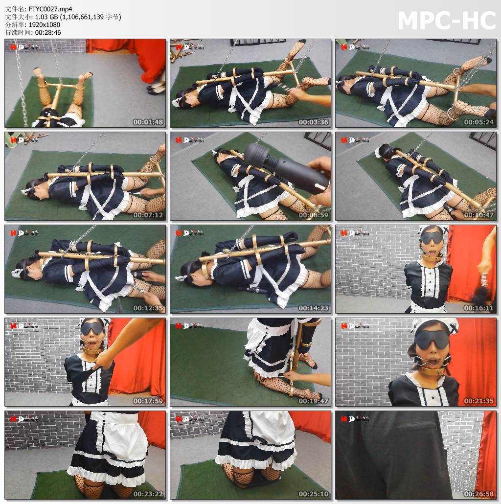 飞天原创_丁奇被囚铁笼 尝试k9跪卧式直臂驷马.jpg