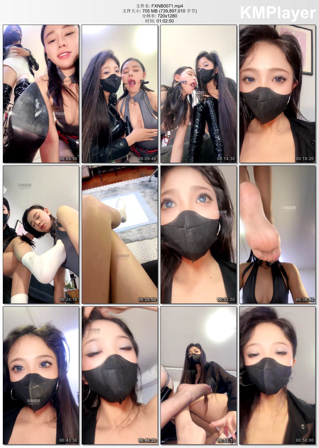 繁星女宝0071_你们的女神我的犬.jpg